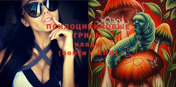 apvp Переславль-Залесский
