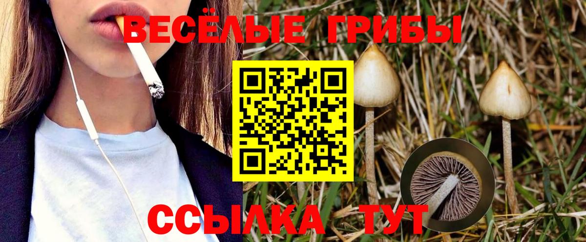 Галлюциногенные грибы ЛСД Ухта