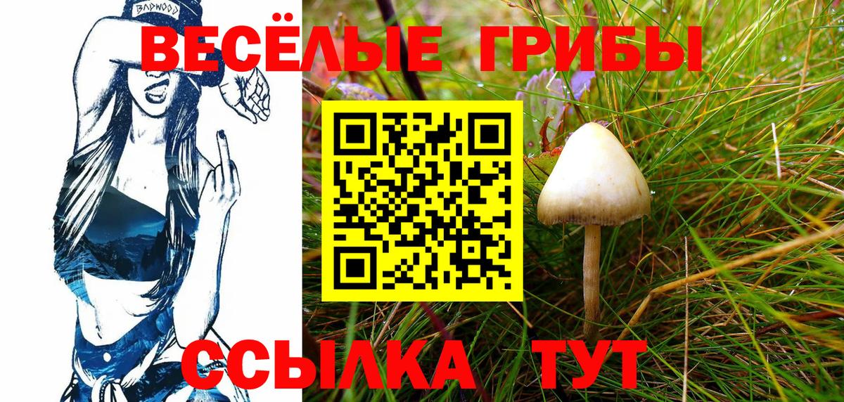 Ухта  Галлюциногенные грибы мухоморы  Галлюциногенные грибы мухоморы  Вход с VPN 