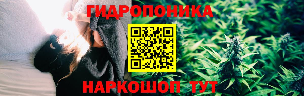 Канабис OG Kush  Вход с VPN  Марихуана марихуана  Ухта 